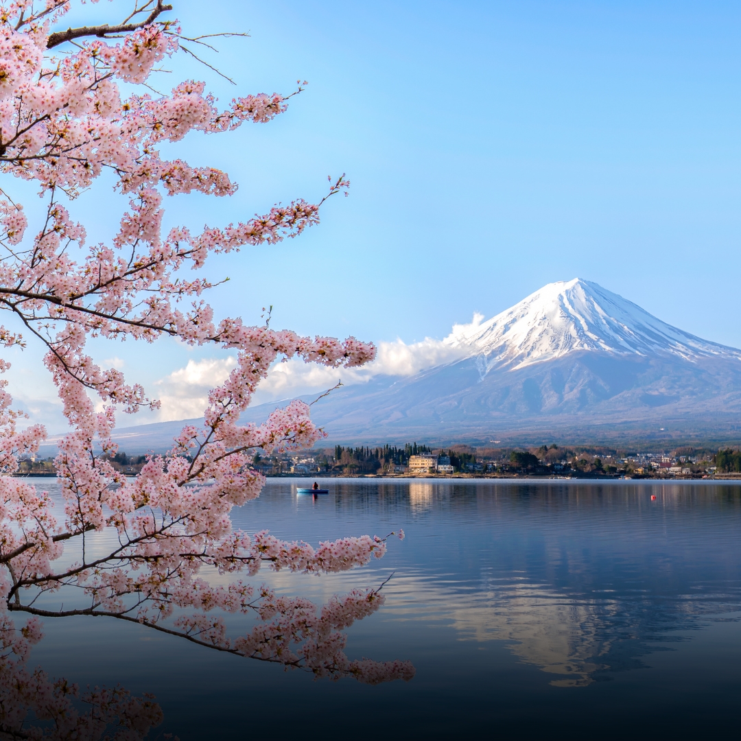 6D Tokyo | 29 Mar - 03 Apr 2026