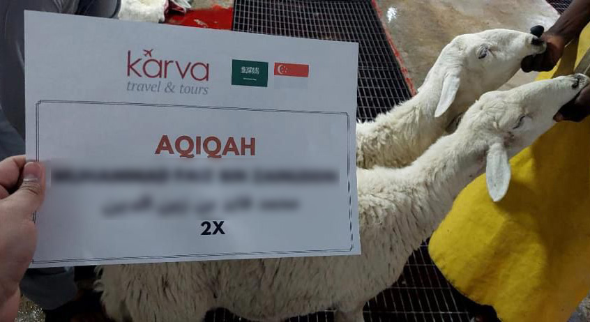 Aqiqah in Makkah - Image 2