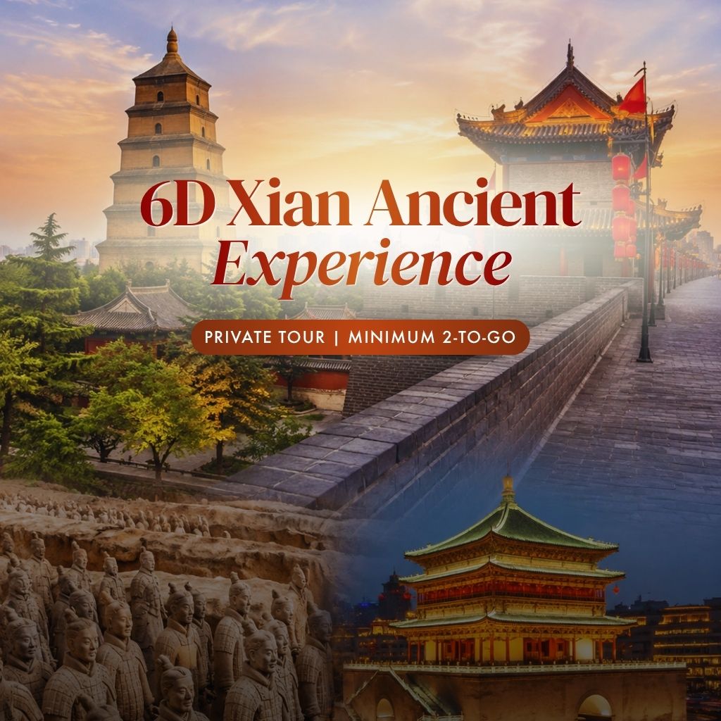 6D Xian - Private Land Tour