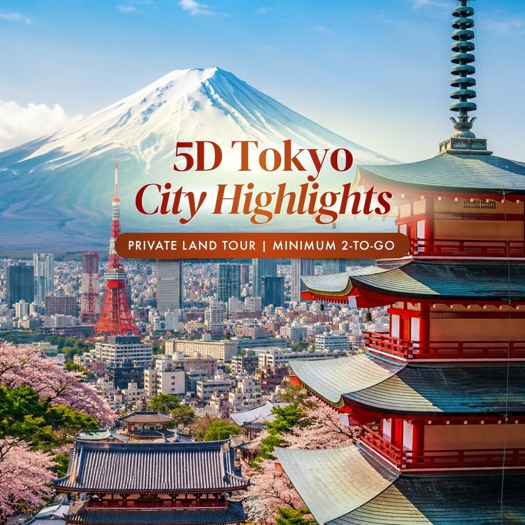 5D Tokyo - Private Land Tour